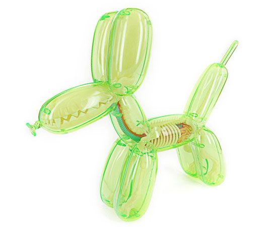 Balloon Dog Anatomy - Green