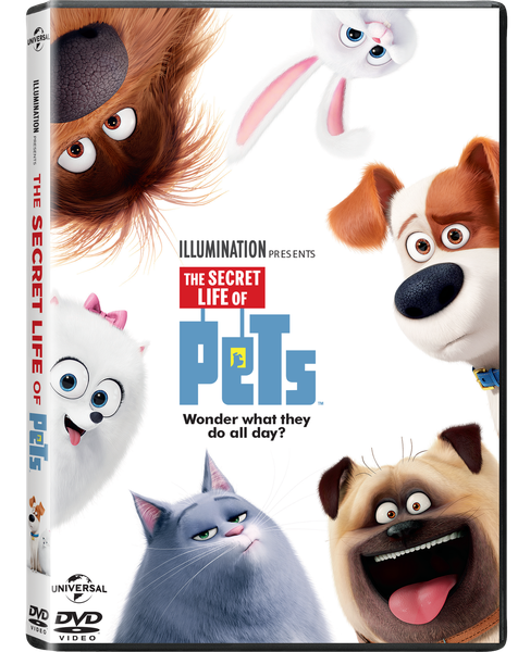 The Secret Life of Pets (DVD)
