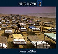A Momentary Lapse Of Reason (Vinyl)
