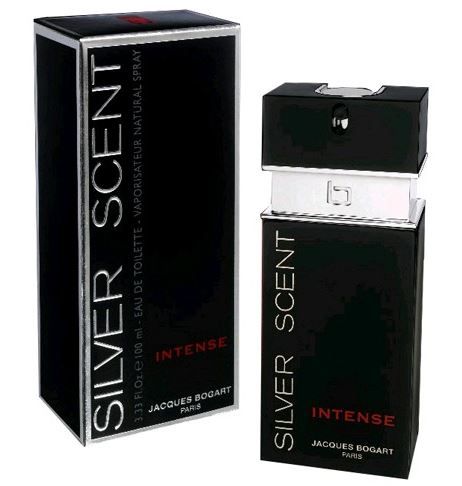Silver Scent Intense 100ml EDT spray - For Him