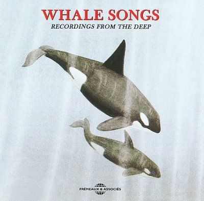Recordings from the Deep - Whale Songs (CD / Album)
