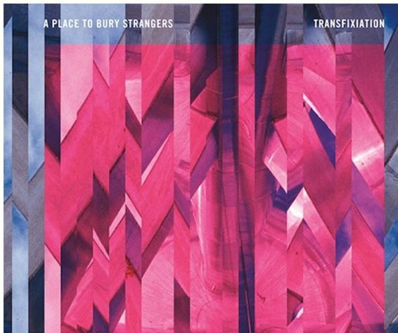 Transfixiation (Pink And Blue Vinyl) (Vinyl)