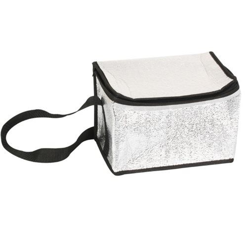 Bulk Pack 5x Thermal Six Pack Cooler Bag