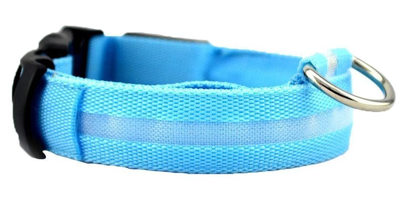LED Dog Safety Collar - Blue (Size: Medium)