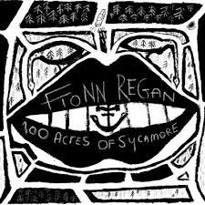 Fionn Regan - 100 Acres of Sycamore (CD)