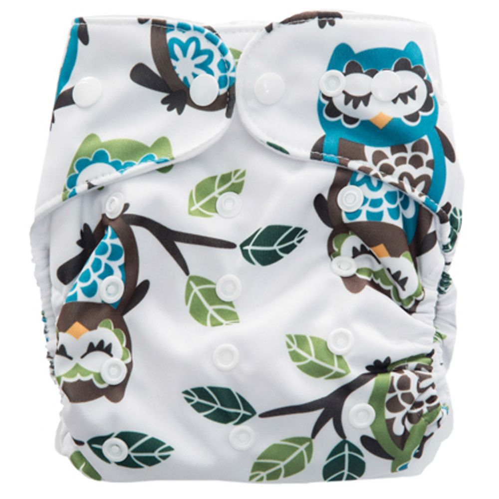 Cloth Nappy (All-In-One) - Hoot | Shop Today. Get it Tomorrow ...