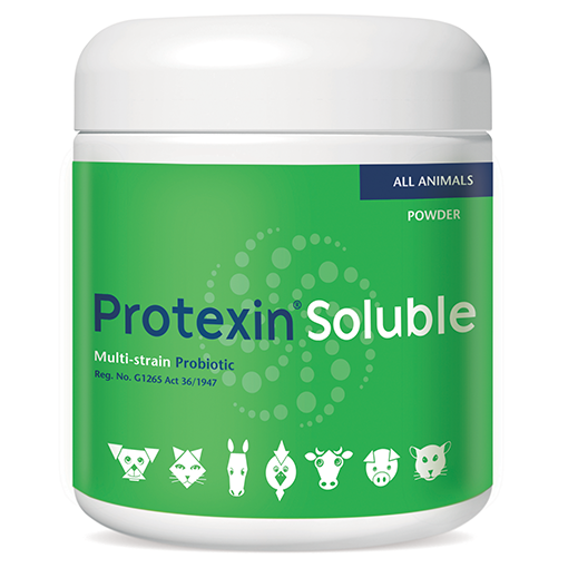 Protexin Soluble Probiotic For Dogs, Cats &amp; Horses 250g -Multistrain,Digest