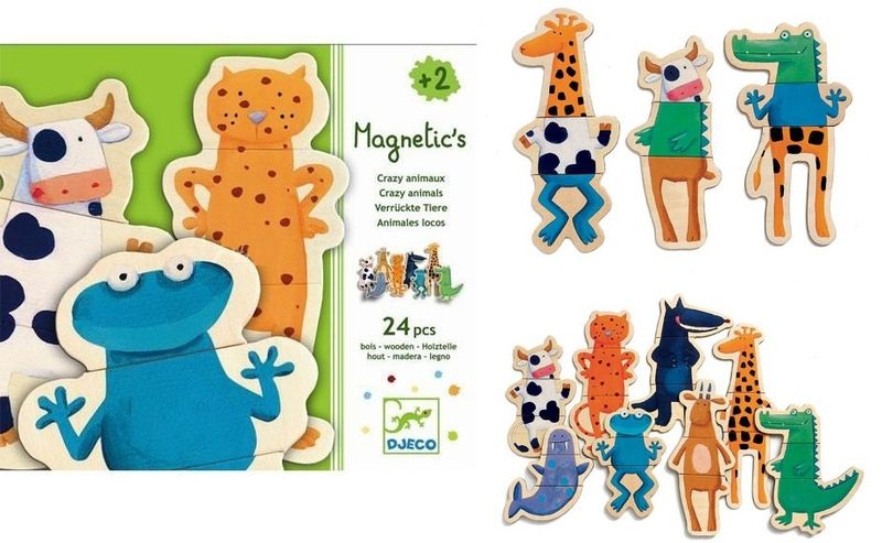 Djeco Wooden magnetics - Crazy