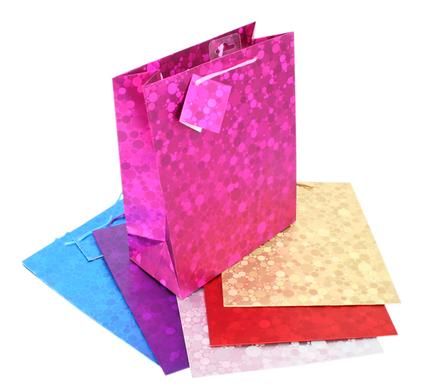 Bulk Pack 12 X Gift Bag Metallic Paper Medium 20cm x 28cm Matt