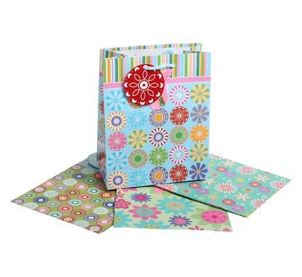 Bulk Pack 12 X Assorted Medium Everyday Gift Bag 23x18cm