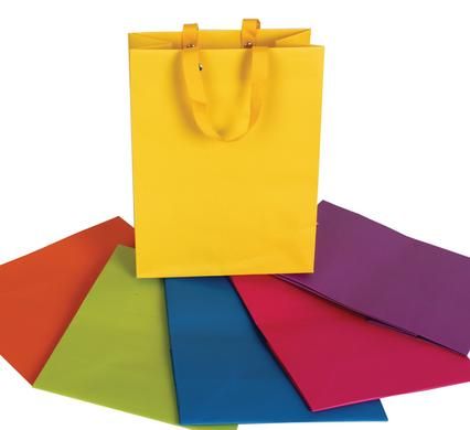 Bulk Pack 10 X Medium Solid Colour Gift Bag 23x18cm - Assorted