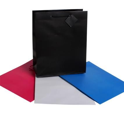 Bulk Pack 8 x Large Solid Colour Gift Bags - Assorted (32 x 25cm)