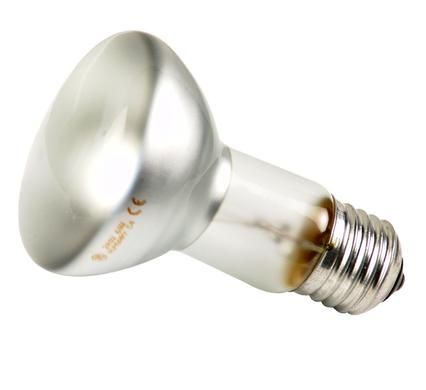 Bulk Pack 4 x Globe Reflector Energy Saver 60w (R63)