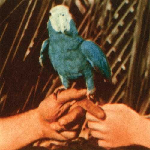 Andrew Bird - Are You Serious (CD)