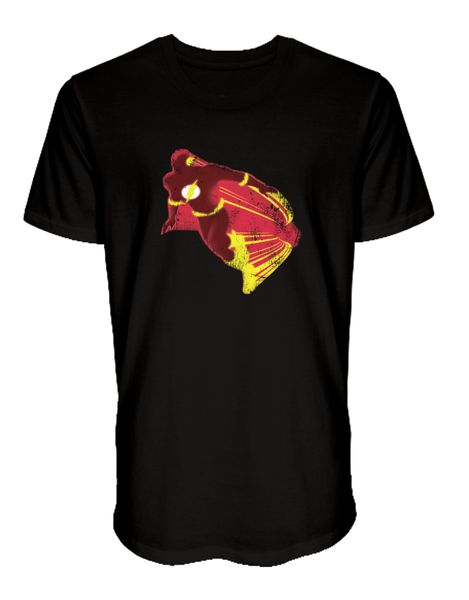 DC Flash Running T-Shirt