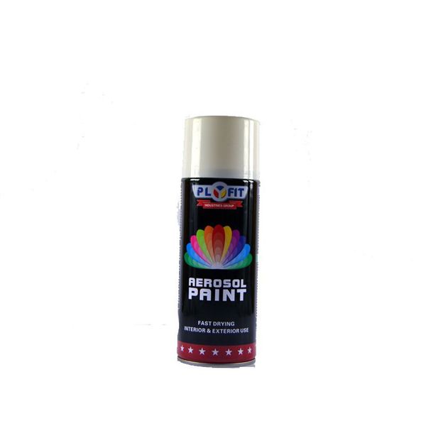 Plyfit Spray Paint in Gloss White (A21) - 300ml