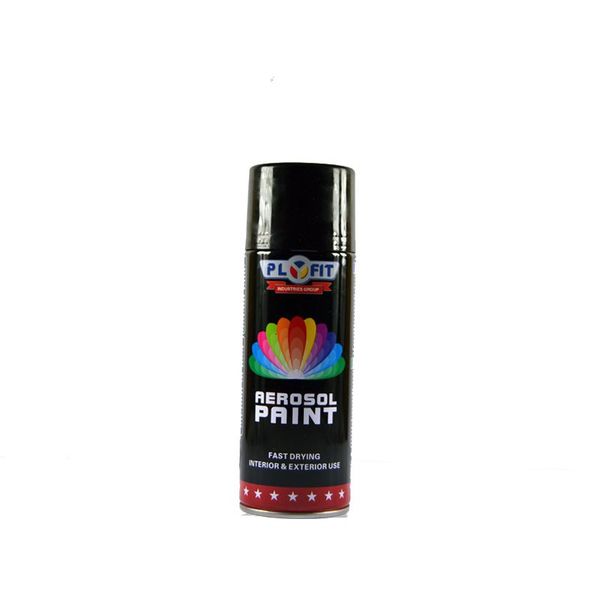 Plyfit Spray Paint in Matte/Flat Black (A02) - 300ml