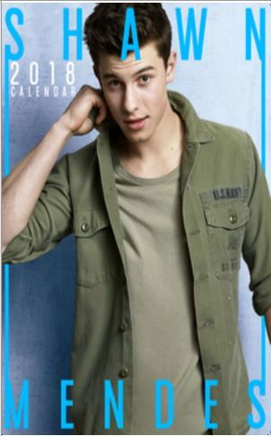 Shawn Mendes 2018 Calendar Unofficial (Parallel Import)
