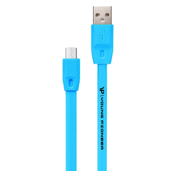 Young Pioneer 2M Fast Charge USB To Micro USB Cable - Blue | Shop Today ...