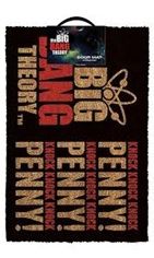 Big Bang Theory - Knock Knock Door Mat (Parallel Import)