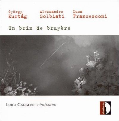 Luigi Gaggero - Un Brin De Bruyere (CD)
