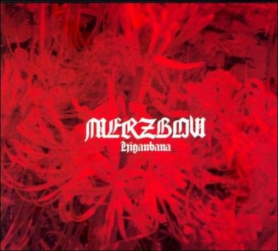Merzbow - Higanbana (CD)