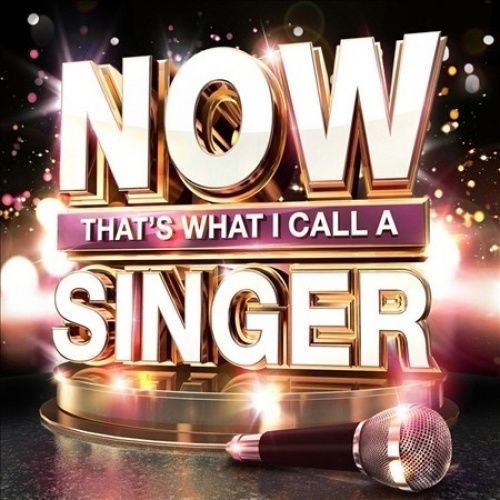 NOW That's What I Call A Singer - Various Artists (CD)