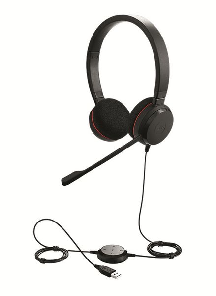 Jabra Evolve 20 Headset with Mic