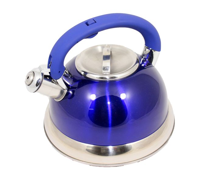 Condere 3 Litre Whistling Kettle - Silver