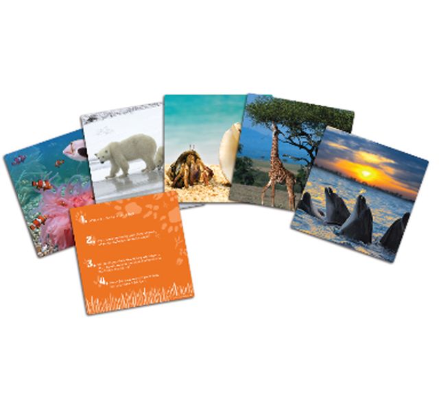 Learning Resources Wild about Animals Snapshots - Critical Thinking Photo Cards