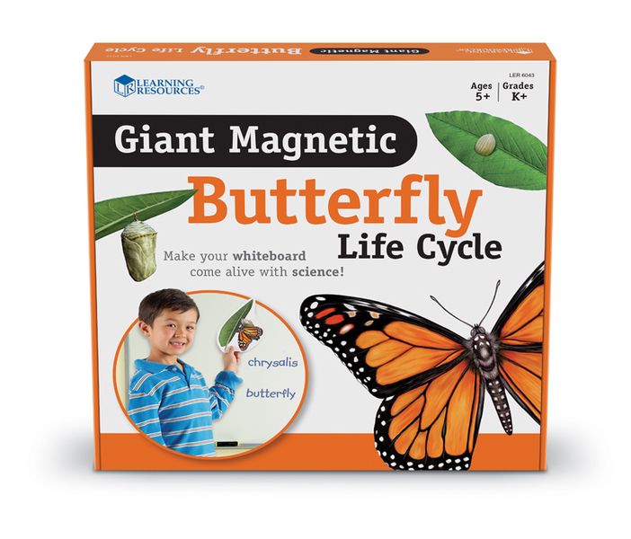 Learning Resources Magnetic Butterfly Life Cycle