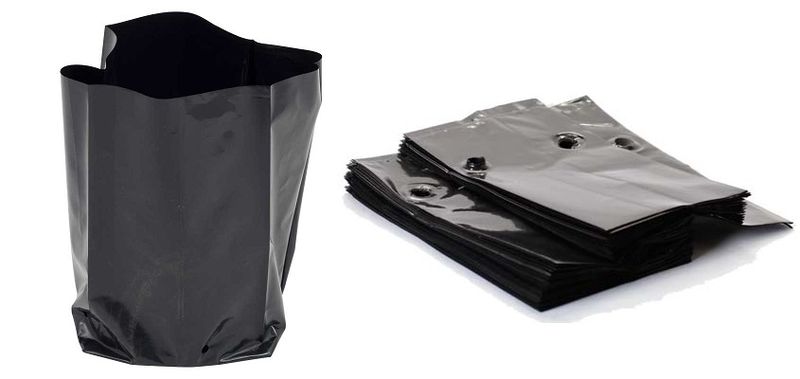 Kirchhoffs Black Nursery Grow Bags 11.5L - 25 Pack