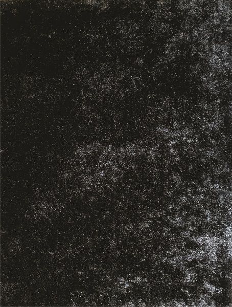 Multi-Flor Rosella Shaggy Rug - Puma Black