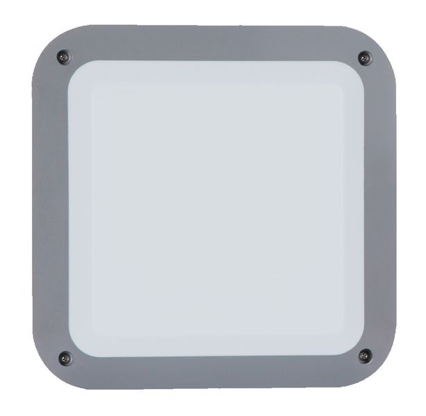 Bright Star Lighting - Outdoor Square PVC Bulkhead - Grey