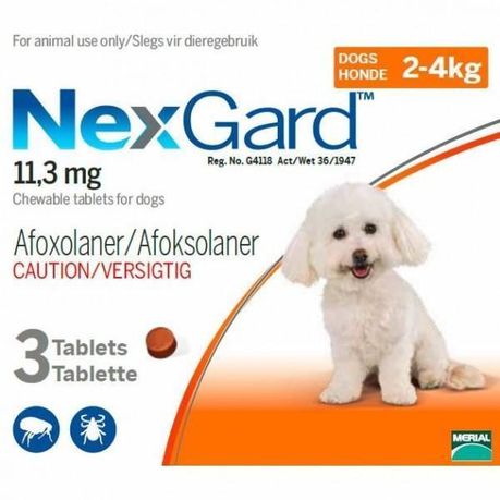 dog flea chewable tablets