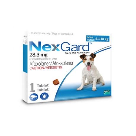 pills for flea and tick control