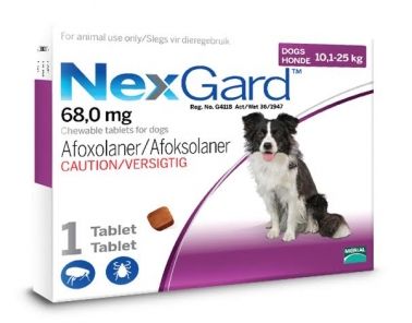 NexGard Chewables Tick &amp; Flea Control for X-Large Dogs - 1 Tablet