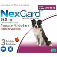 Nexgard dogs chewy best sale