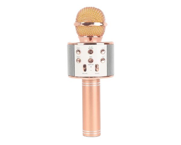 Everlotus Wireless Karaoke Microphone