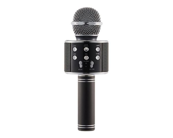 Everlotus Wireless Karaoke Microphone