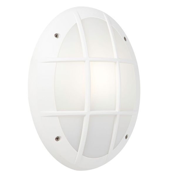 Eurolux - Bulkhead - B229WFU