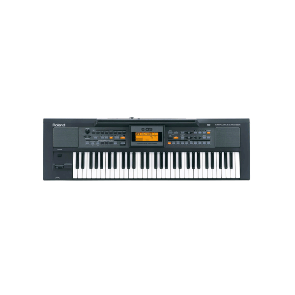 Roland E-09 Keyboard