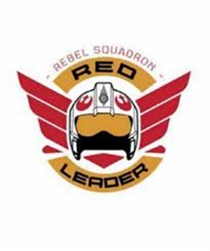 Star Wars Rogue One: Red Leader T-Shirt (Parallel Import)