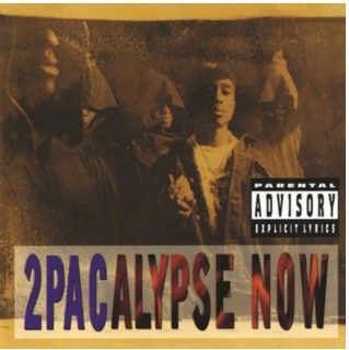 2Pacalypse Now (Vinyl image