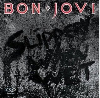 Slippery When Wet image