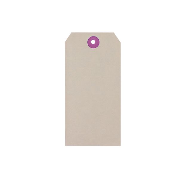 Treeline Buff Tags No.6 - 133 x 67mm - Box of 1000