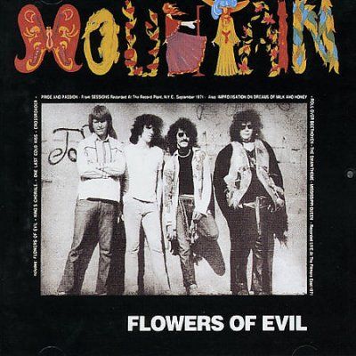Flowers of Evil - (Import CD)