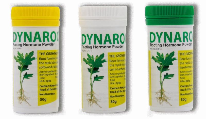 Starke Ayres Dynaroot Growth Hormone Powders No 1, 2 &amp; 3