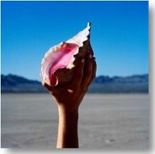 Wonderful Wonderful (CD)