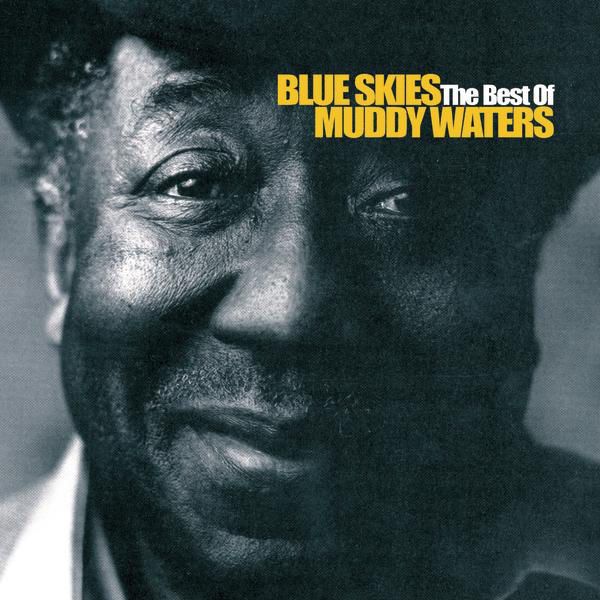Muddy Waters - Best Of Muddy Waters (Vinyl)